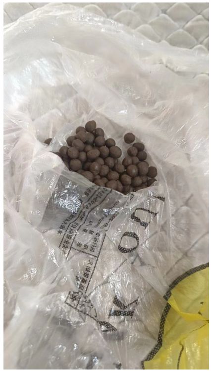 中国著名风湿骨病专家——于海梅