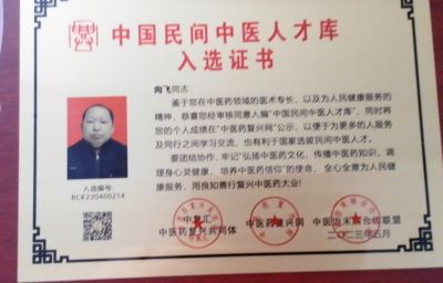 礼赞八一特别报道  著名中医名家——向飞