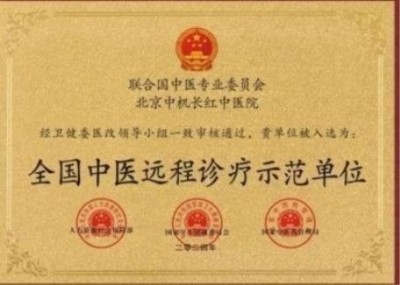 记联合国中医专业委员会主任潘侵存教授