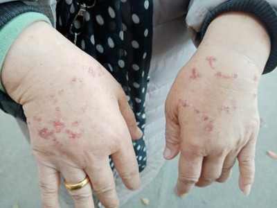 成都金牛区委，区政府建设致优秀民营企业进退两难，举步维艰