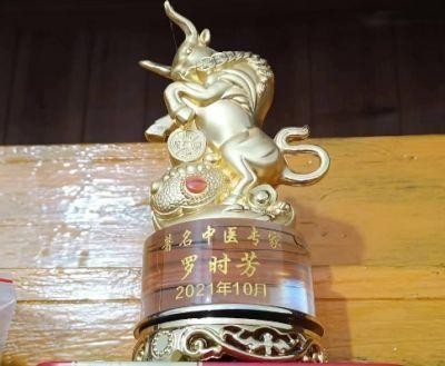 聚焦两会特别报道 著名中医专家---罗时芳