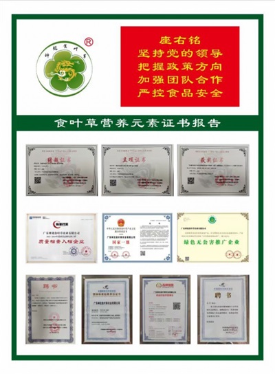 在“农业兴旺、农民安定，则国家统一、社会稳定”的时代强音中，广东神龙食叶草农业有限公司董事长孔岩，紧握习总书记“三农”工作重要论述这把“金钥匙”，全力开拓富硒食叶草产业的广阔天地，为解决粮食安全、食品安全和全民健康问题，推动乡村振兴战略注入了新的活力。