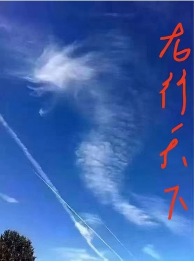 以道为骨，以龙为魂——探寻陈兆威的文化传承之路