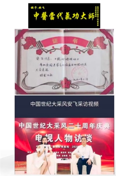 中国当代最美医生名中医——安飞