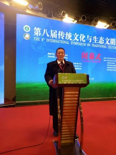 乘金马之势·传国学薪火——国学大家金大琳新春大拜年