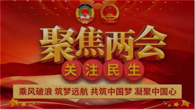 聚焦两会特别报道：张艺馨——用传统文化智慧赋能现代生活的践行者