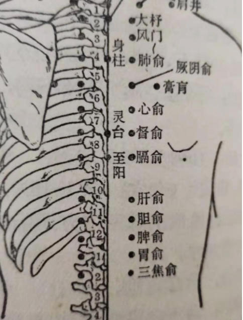 聚焦两会·中医药传承创新：韩礼医师以经方智慧守护人民健康
