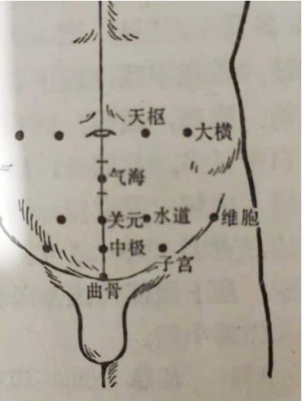 聚焦两会·中医药传承创新：韩礼医师以经方智慧守护人民健康
