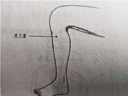 聚焦两会·中医药传承创新：韩礼医师以经方智慧守护人民健康