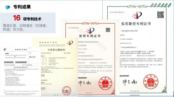 真菌发酵植物：张文政老师开辟畜禽疫病防控新路径，攻克非瘟蓝耳难题