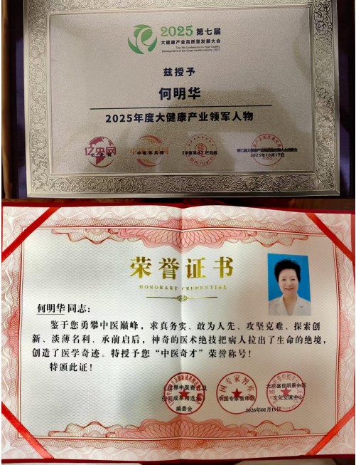 岐黄丹心映两会 匠筑国药谱华章---何明华的中医药传承与担当