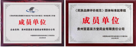 五一 专题报道 康之和苗药冯文龙： 以百年匠心厚植苗药传承，赋能民族医药高质量发展