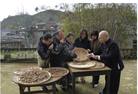五一 专题报道 康之和苗药冯文龙： 以百年匠心厚植苗药传承，赋能民族医药高质量发展