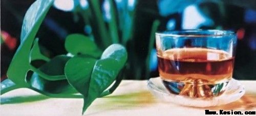 太御元黄酮老树叶，千金石柯(代用茶)以“预防为先”为核，开启天然养生新范式