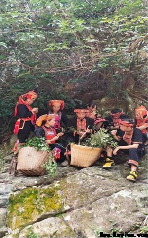 金秀瑶族灯草灸疗法瑶医药非物质文化遗产传承人---赵衷民