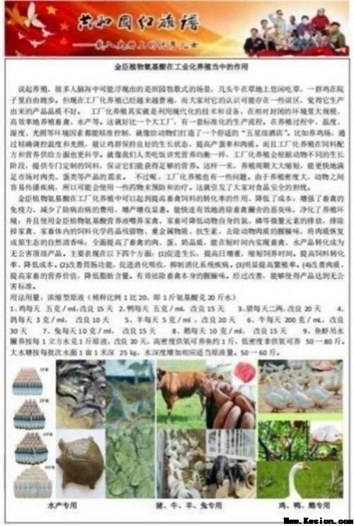 金臣科技：以天然植物氨基酸技术，绘就生态健康新蓝图