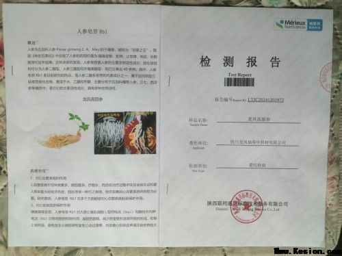 中国著名医学专家李明与他的龙凤福寿参传奇