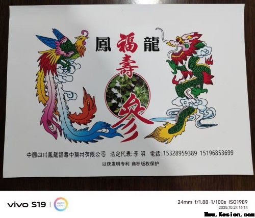 中国著名医学专家李明与他的龙凤福寿参传奇