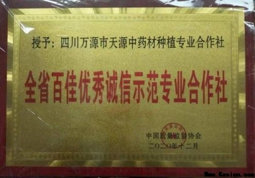 中国著名医学专家李明与他的龙凤福寿参传奇