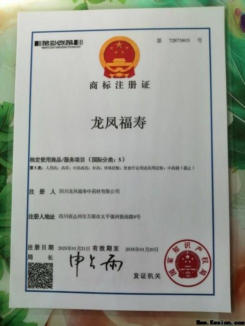 中国著名医学专家李明与他的龙凤福寿参传奇