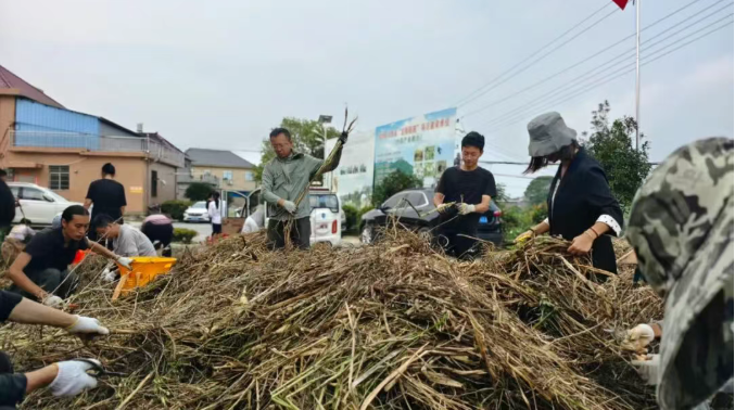 【江西药仙谷】六十载医者初心，不负中医药美丽家园