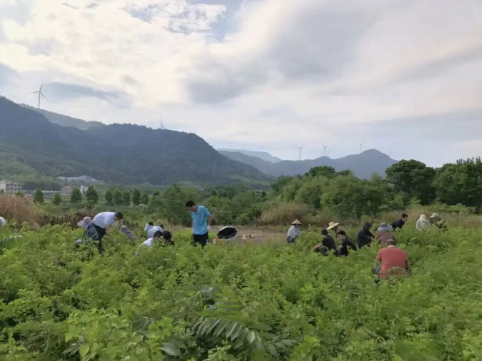 【江西药仙谷】六十载医者初心，不负中医药美丽家园