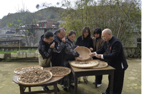 七一专题报道：康之和苗药冯文龙：以百年匠心厚植苗药传承，赋能民族医药高质量发展
