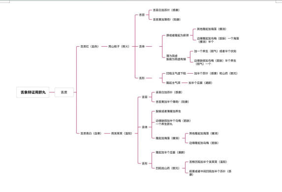 守中医本源，开秩序新境 —— 王伟清以体系  创新推动中医药现代化革新