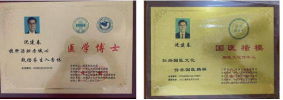 八一军旗耀岐黄，无毒抗癌铸忠魂 特别报道著名国医专家---沈建春