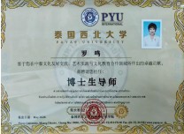 第九届中国医师节特别报道最美中医师罗鸣：岐黄仁心二十载 大医精诚护苍生