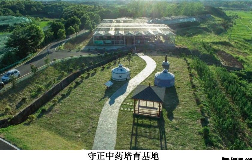 本草藏心承岐黄　济世传薪谱华章 济世堂蔡氏中医药非遗代表性传承人、中医学者蔡锦芳