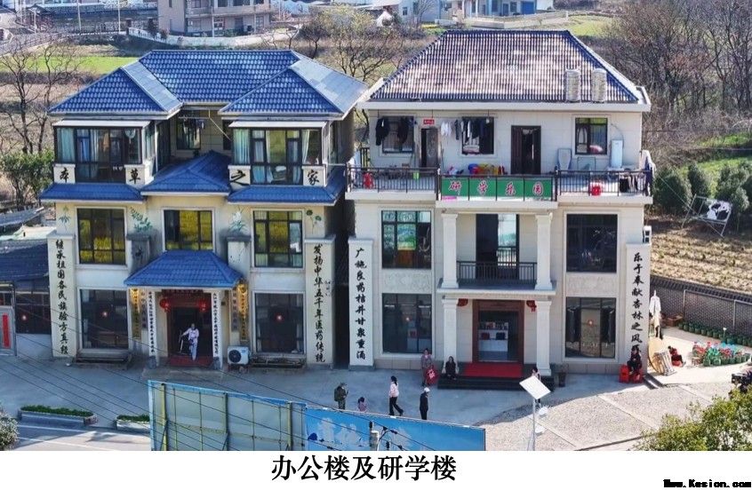 本草藏心承岐黄　济世传薪谱华章 济世堂蔡氏中医药非遗代表性传承人、中医学者蔡锦芳