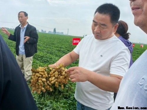 校企协同探新路 产教融合促振兴——河北农业大学花生创新团队赴唐山卓赢农业花生新品种繁育基地实地交流