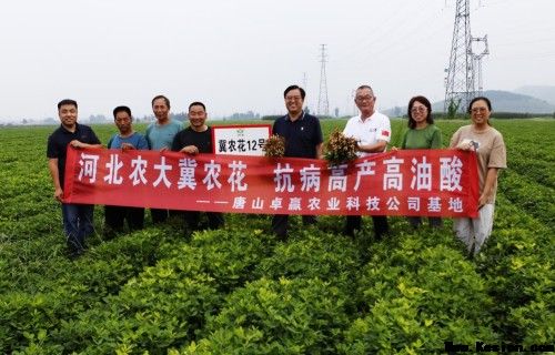校企协同探新路 产教融合促振兴——河北农业大学花生创新团队赴唐山卓赢农业花生新品种繁育基地实地交流