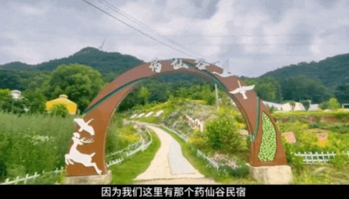岐黄仁心映国盛 本草传薪庆华诞——蔡锦芳与济世堂蔡氏中医药非遗传承的时代答卷