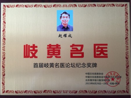 金手指下的生命奇迹：赵氏手部点穴疗法的传承与全球影响
