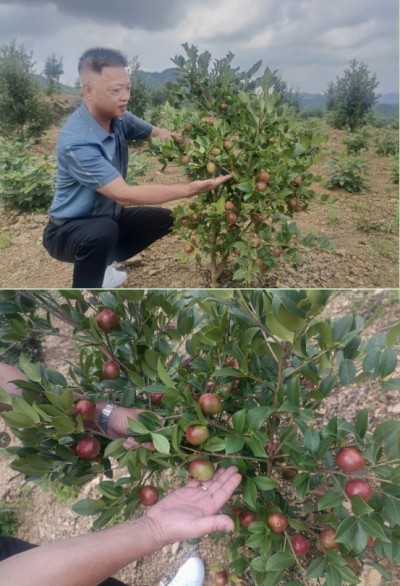 祥寿科技：让“知识产权”走出实验室，服务三农发展