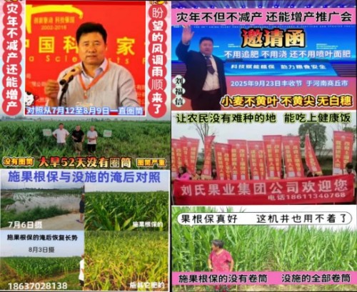 金马迎春·大国农匠：刘福信——以科技为犁守护土壤，用初心赋能乡村振兴