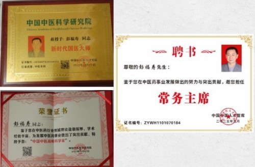 中国人才智库常务主席，国医大师，中医战略科学家，世界中医药协会专业委员会会长彭福寿