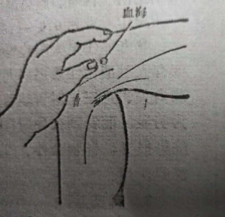 聚焦两会·中医药传承创新：韩礼医师以经方智慧守护人民健康