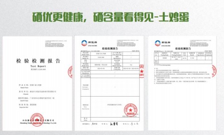 喜迎两会特别报道 生态养殖赋能乡村振兴：湖北乡土优品的“土鸡”突围之路