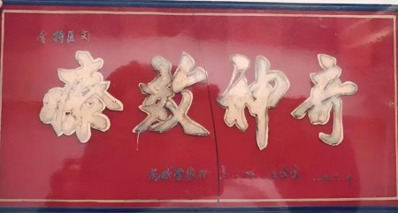 闵繁君：根植基层的中医传承者与健康守护者