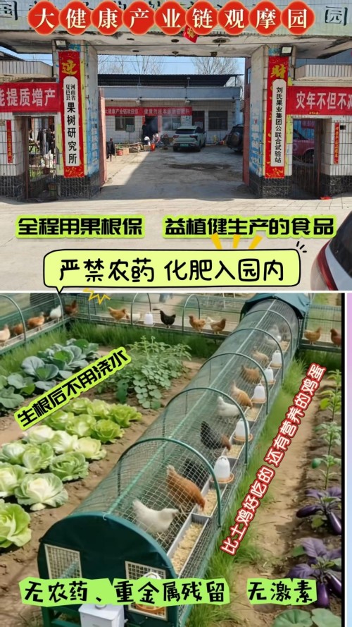 福信大健康产业链口感擂台赛参赛议程 接地气