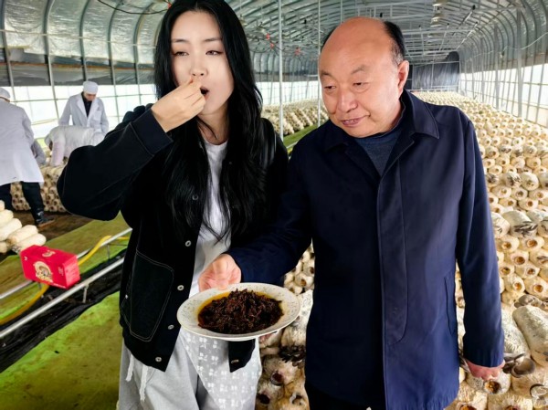 好菇也怕巷子深！“蘑菇大王”丁伦保的期盼